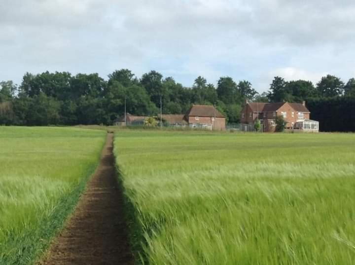 Plumpton Barn Villa Ashford  Eksteriør billede